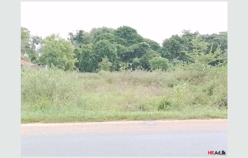 Anuradhapura Land For Sale 