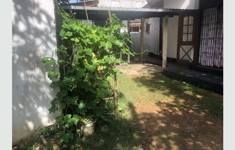 Moratuwa Single Storied House For Sale