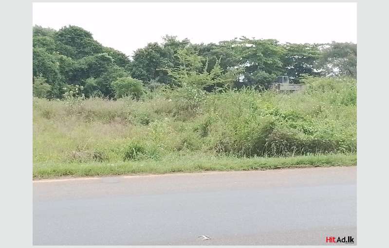 Anuradhapura Land For Sale 