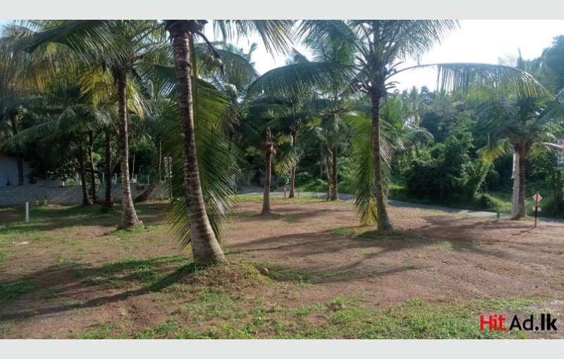 Gampaha Land For Sale