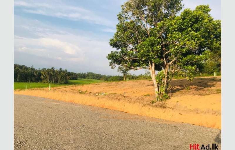 Galle Induruwa Land For Sale