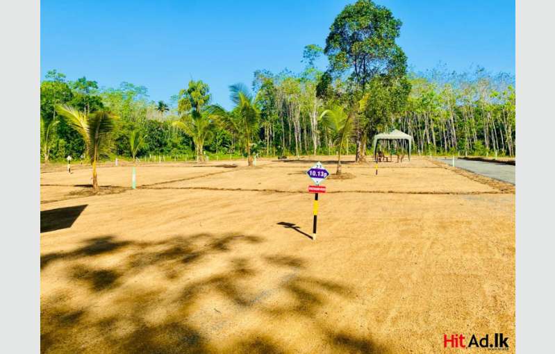 Horana Land For Sale