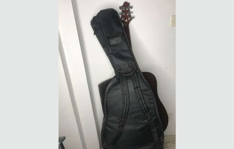 Gereg Benett D-1n Guitar With Professional Case 