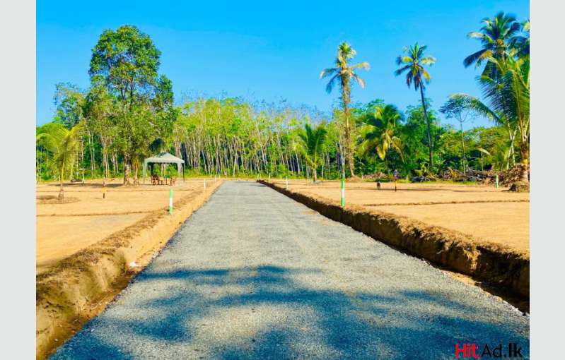 Lands for sale In Kalutara