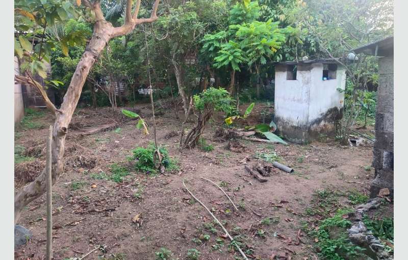 Bandaragama Land for Sale