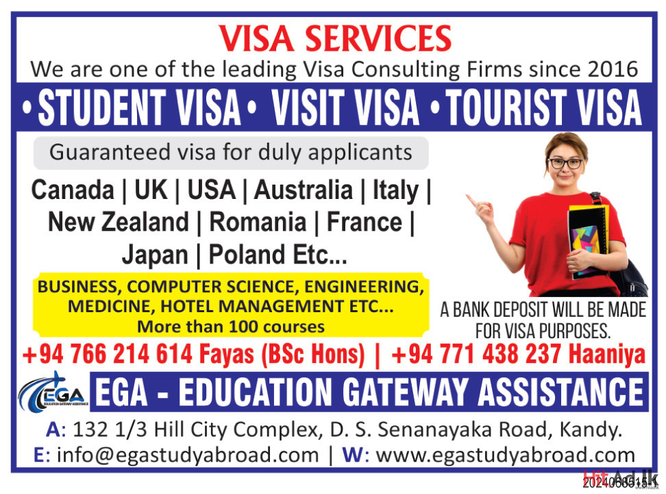 Visa Services 