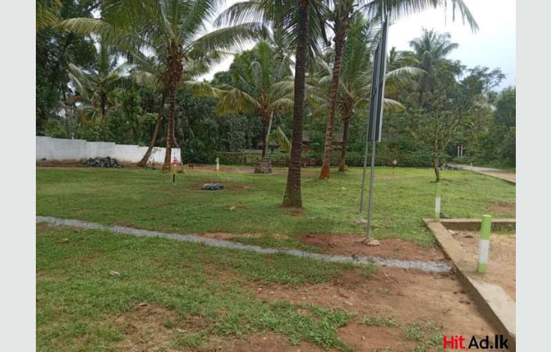 Land For sale In Gampaha - Kiridiwela bus route