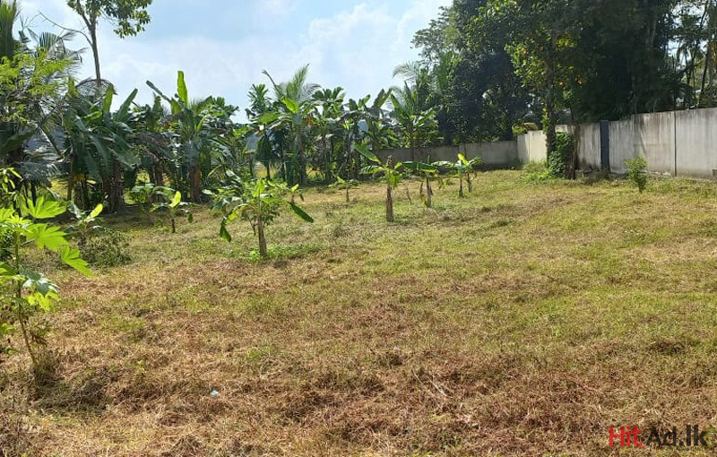 Land for sale in Horana