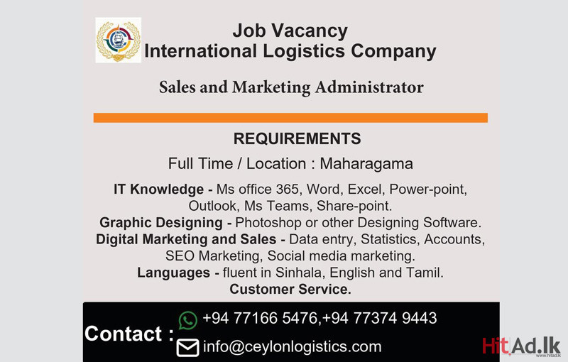 Job Vacancy International Logistics Company