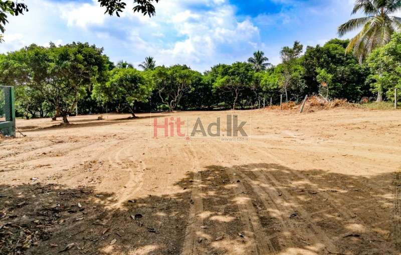 Land for Sale in Ballapitiya 