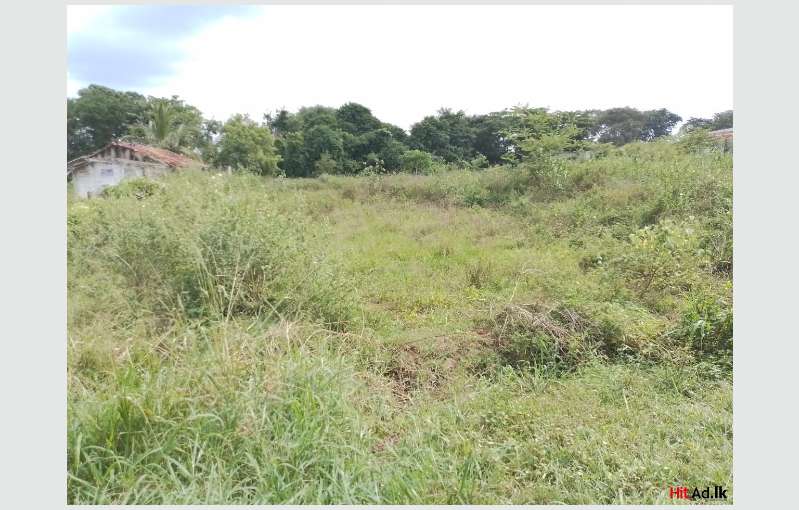 Anuradhapura Land For Sale 