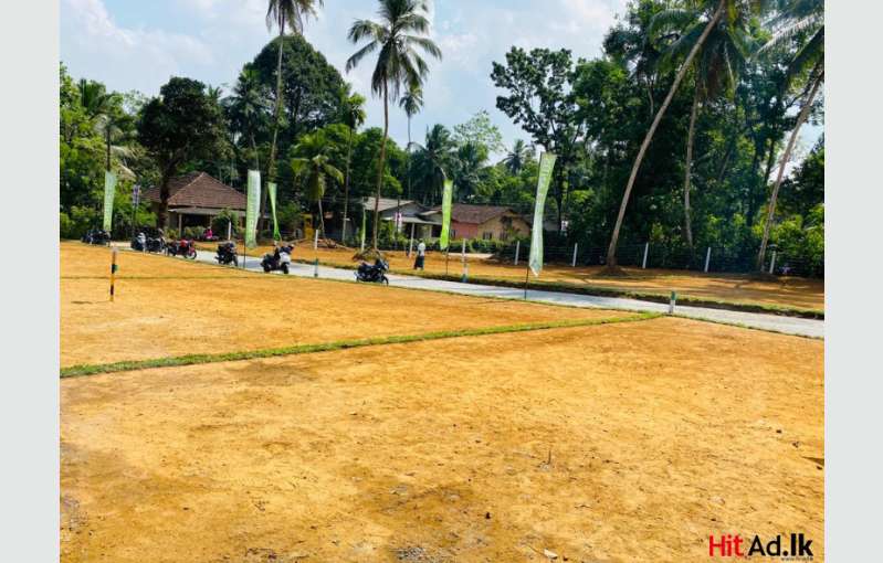 Horana Lands For Sale