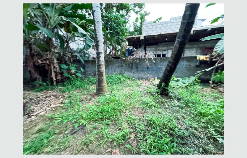 Land With House For Sale In Wellampitiya