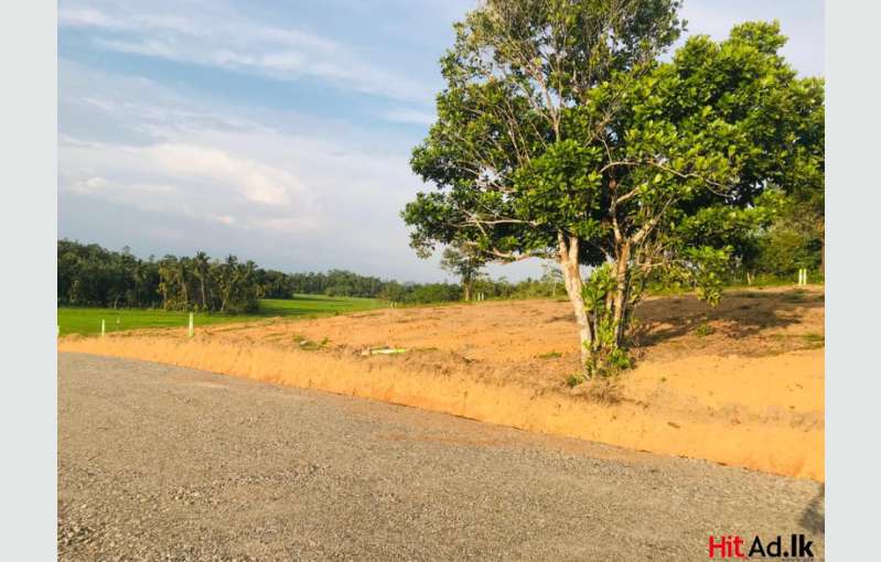 Land  for Sale in Benthota 