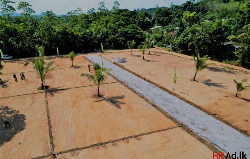 Land For Sale In Horana Thalgahavila