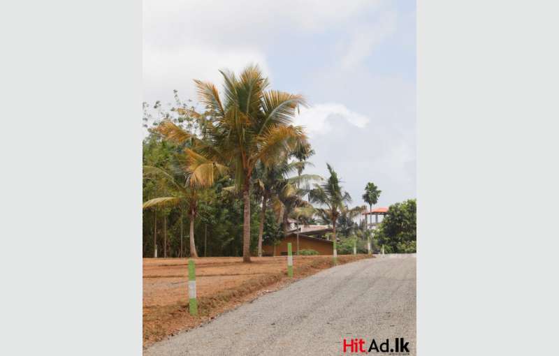 Land for sale in Piliyandala