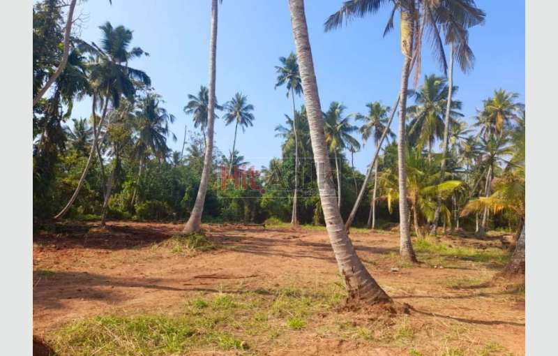 Land for Sale Ja Ela