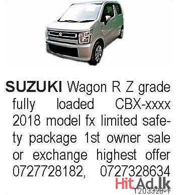 Suzuki Wagon R 2018 Car 