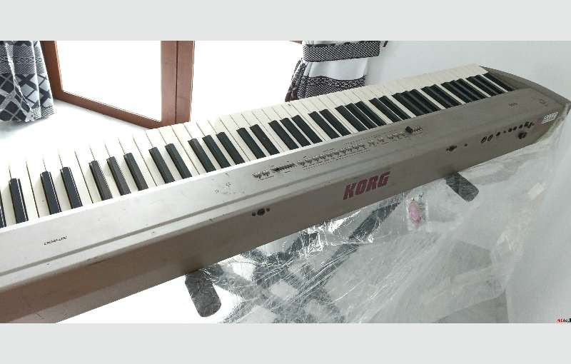 Used Korg Electric Piano. 