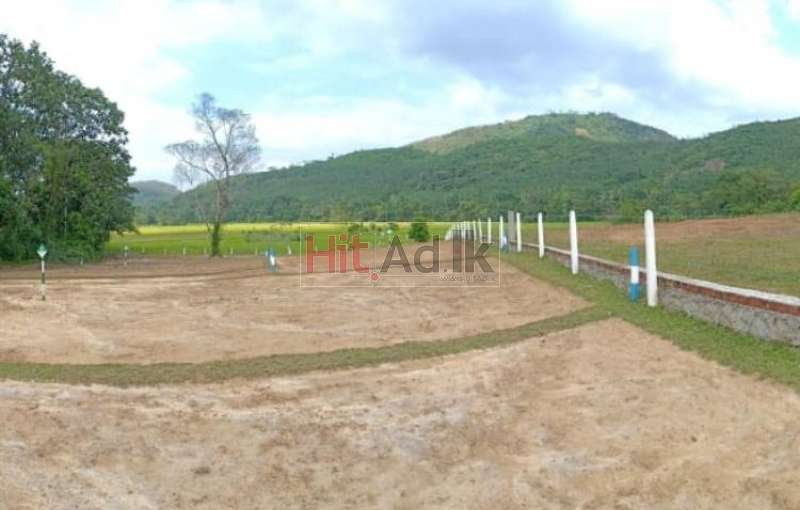 Kosgoda Fabulous Plots For Sale