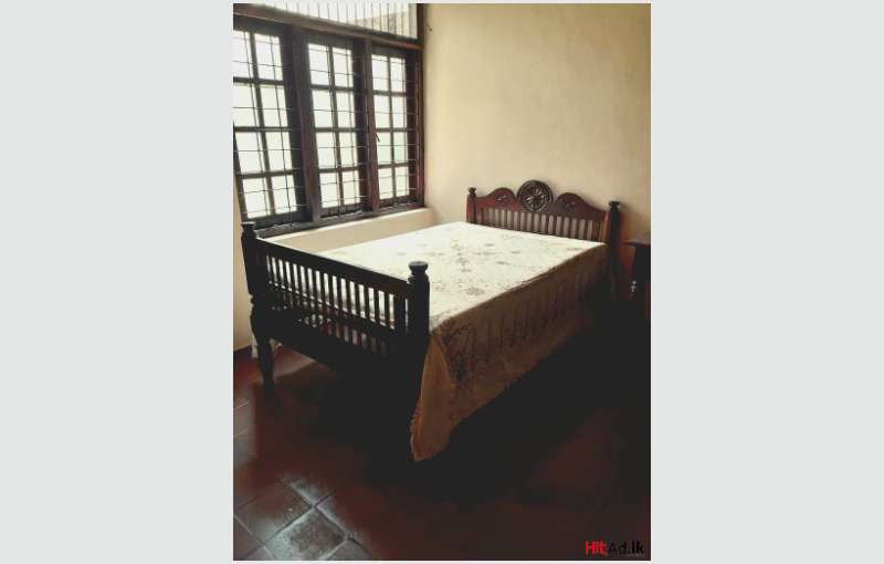 Antique Spring Double Bed