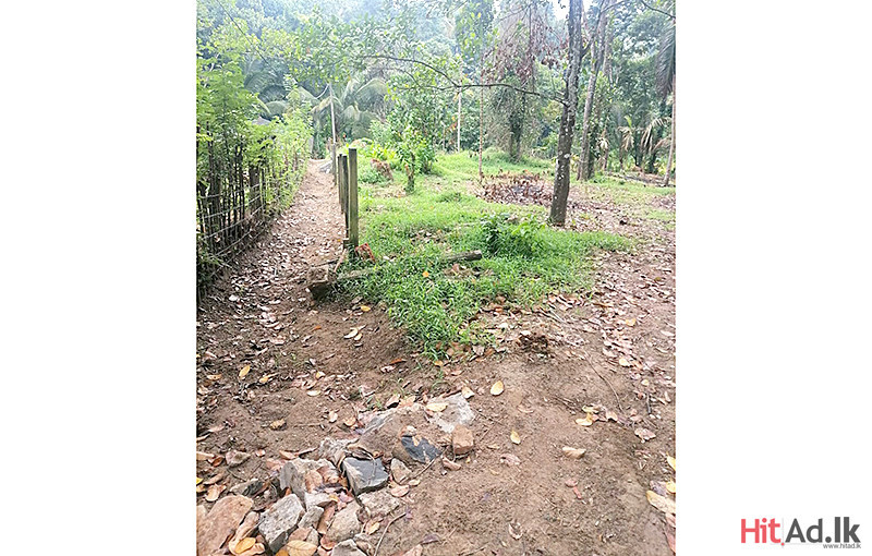 Kandy-Pilawala Land for Sale