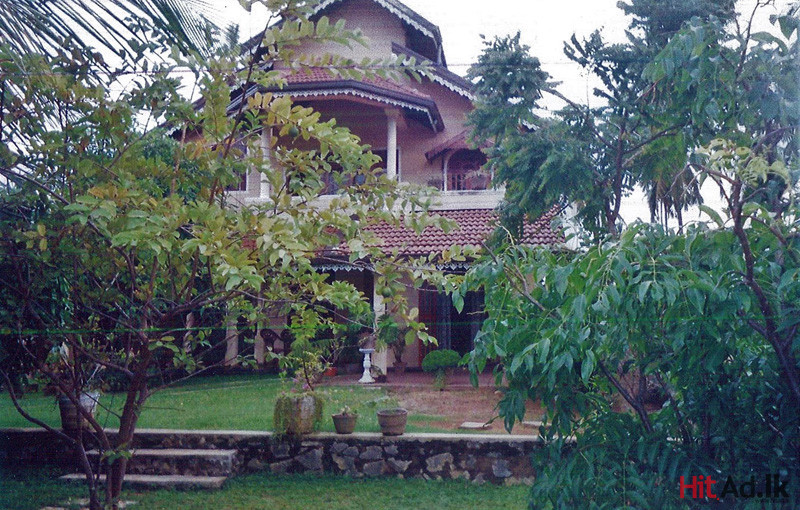 Negombo St.Joshep's Street House for sale Property Houses HitAd.lk