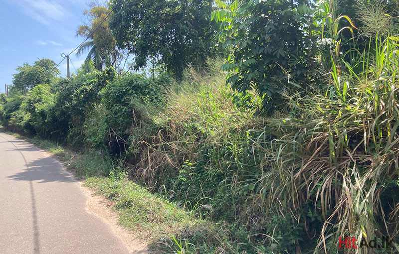 Estates for Sale in Matara