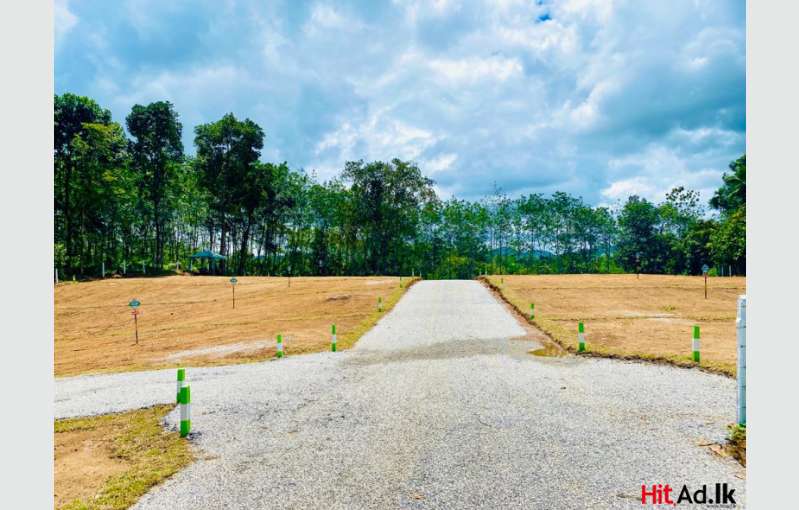Land for sale Meepe