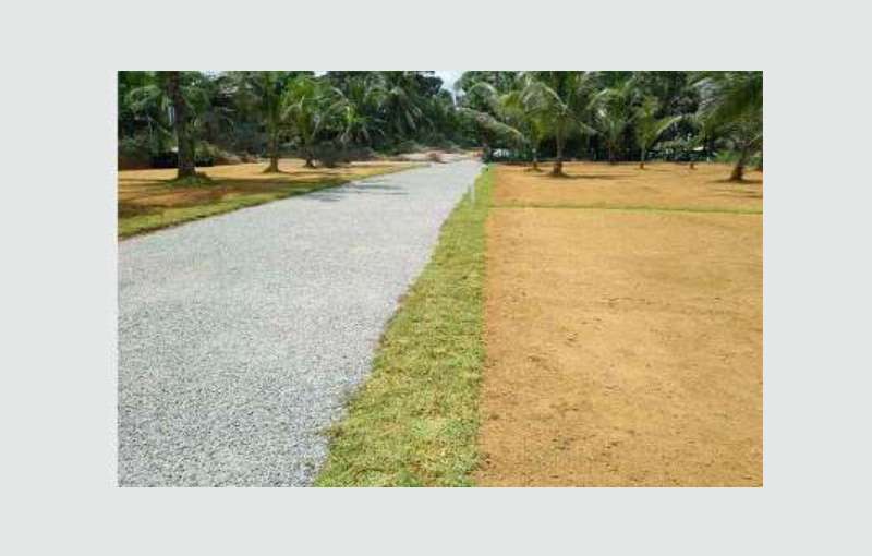 Land for sale in Pugoda