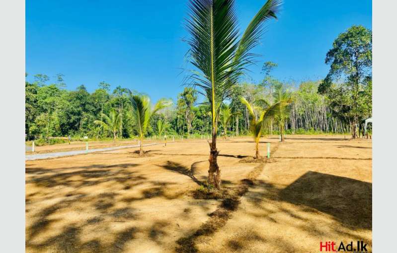 Kalutara Land For Sale