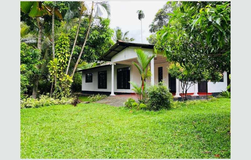 House for Sale in Kadawatha with Landscape Garden