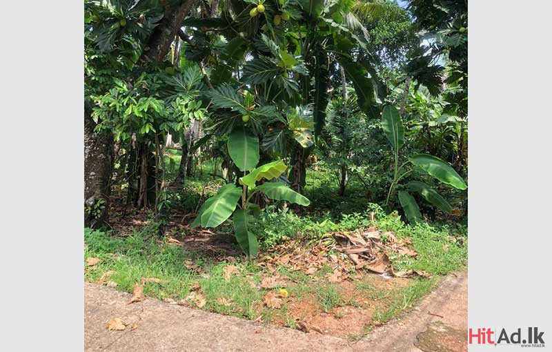 Malabe-Thalahena Land for sale