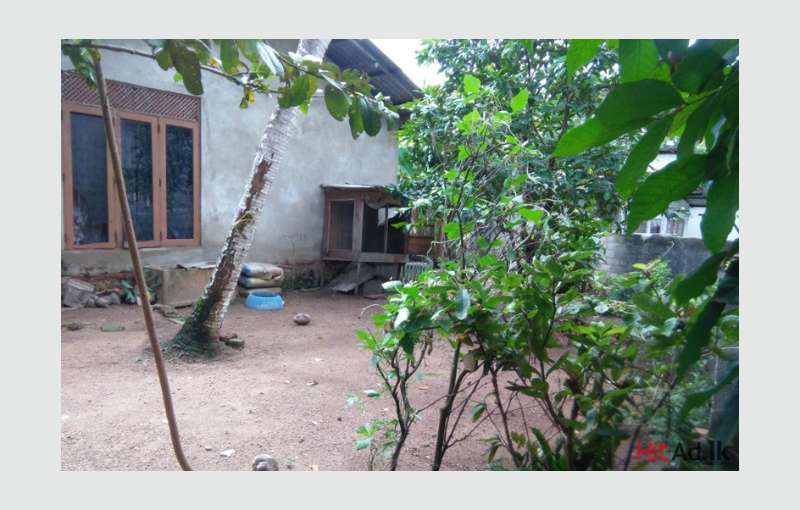 Maharagama house for sale