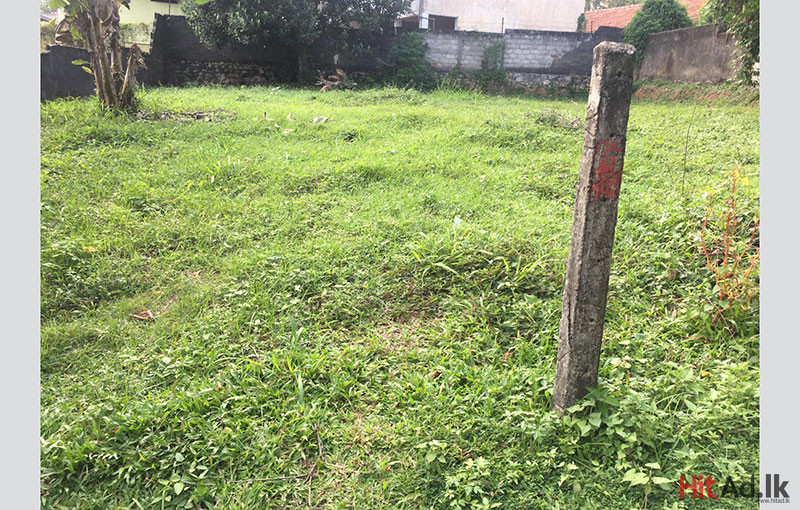 Land for Sale in Kadawatha