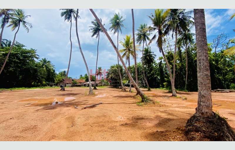 Pamunugama Land For Sale