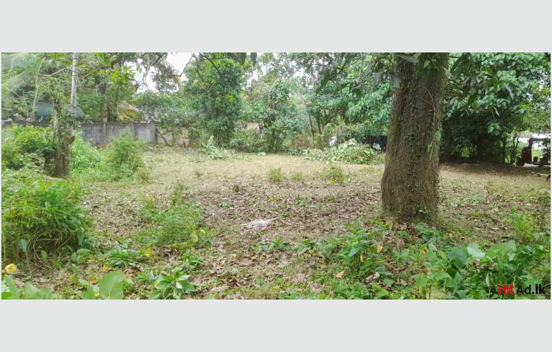 Prime Land For Sale In Battaramulla Near Thalangama Lake