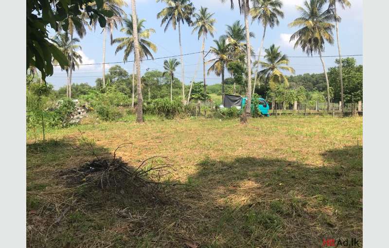 Land for sale in Katunayake