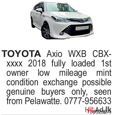 Toyota Axio WXB 2018 Car