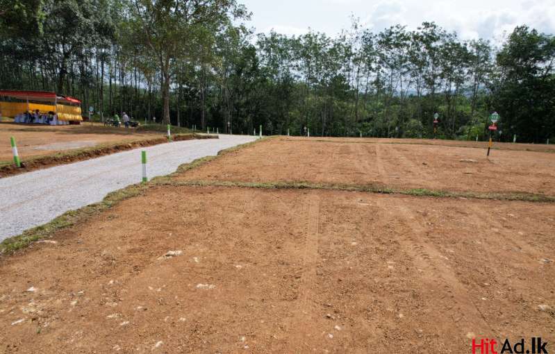 Land For Sale Near Meepe Highlevel Road