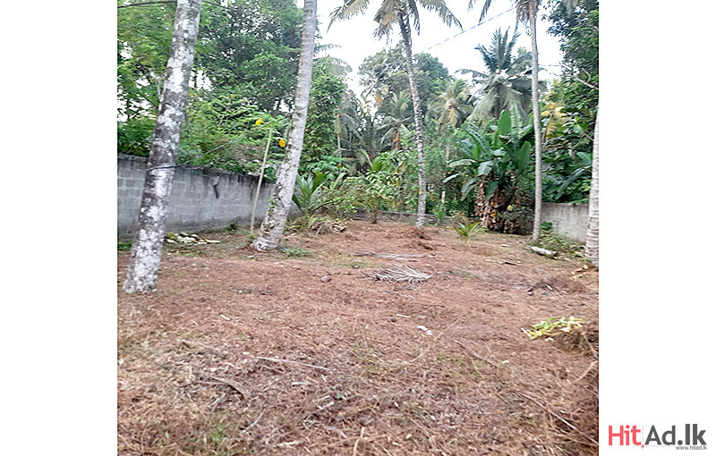 Gampaha-Bandarawatta Land for Sale