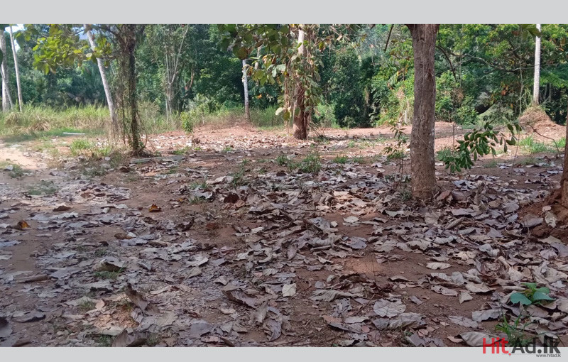 Matale land for sale