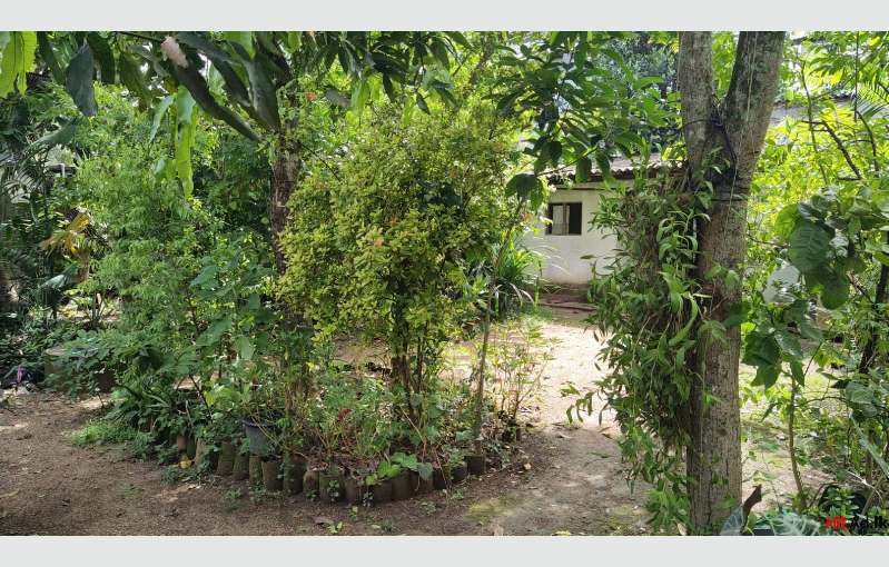 Land For Sale in Piliyandala