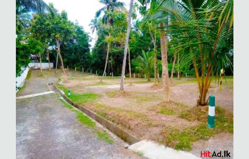 Kadawatha Land For Sale