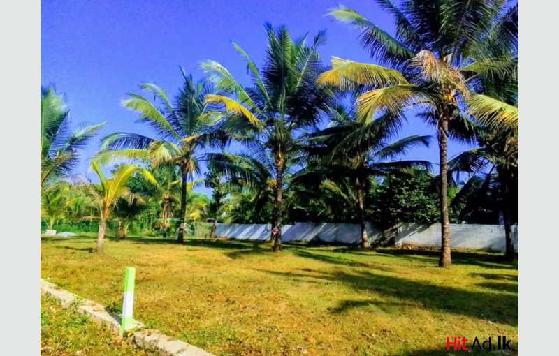 Homagama Halbarawa Superb Land For Sale