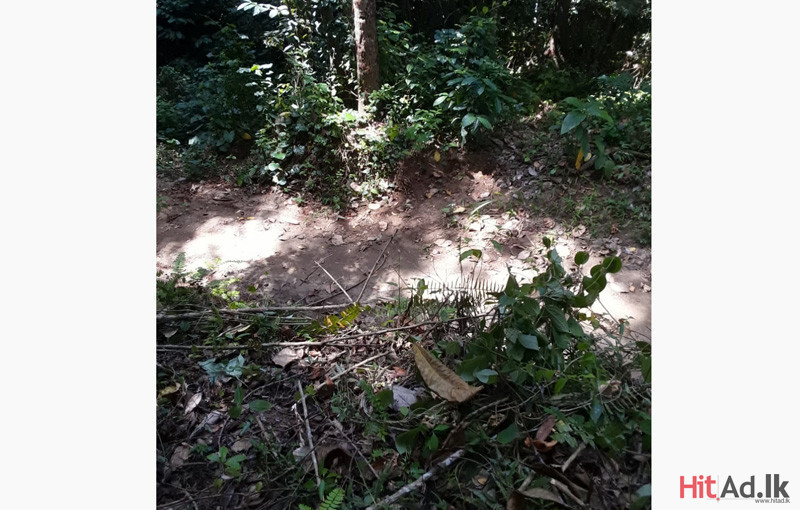 Land for sale in Kandy