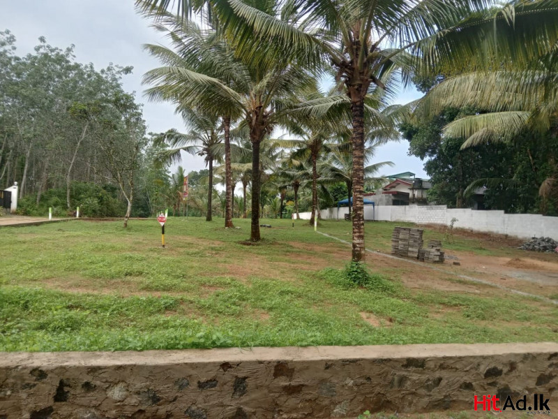 Land for sale in Halbarawa