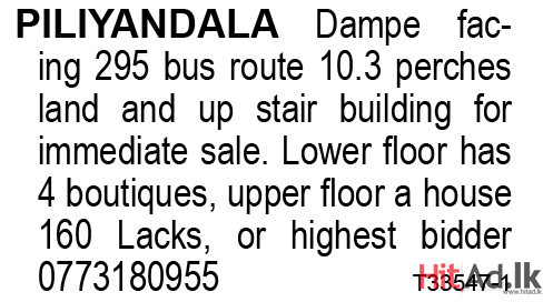 Piliyandala Dampe facing 295 bus route 