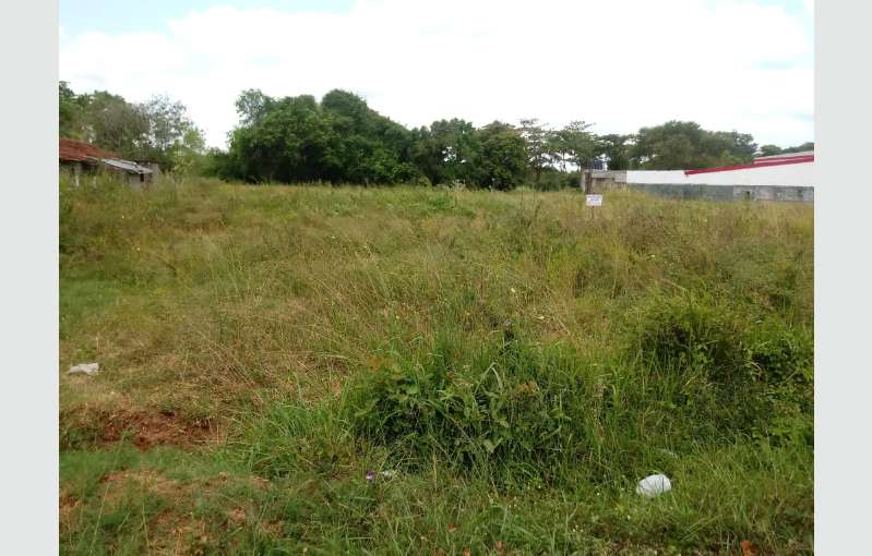 Anuradhapura - Commercial land for Sale 