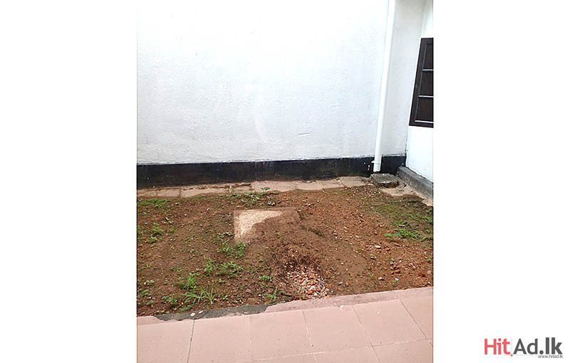 House for Sale in Colombo-07